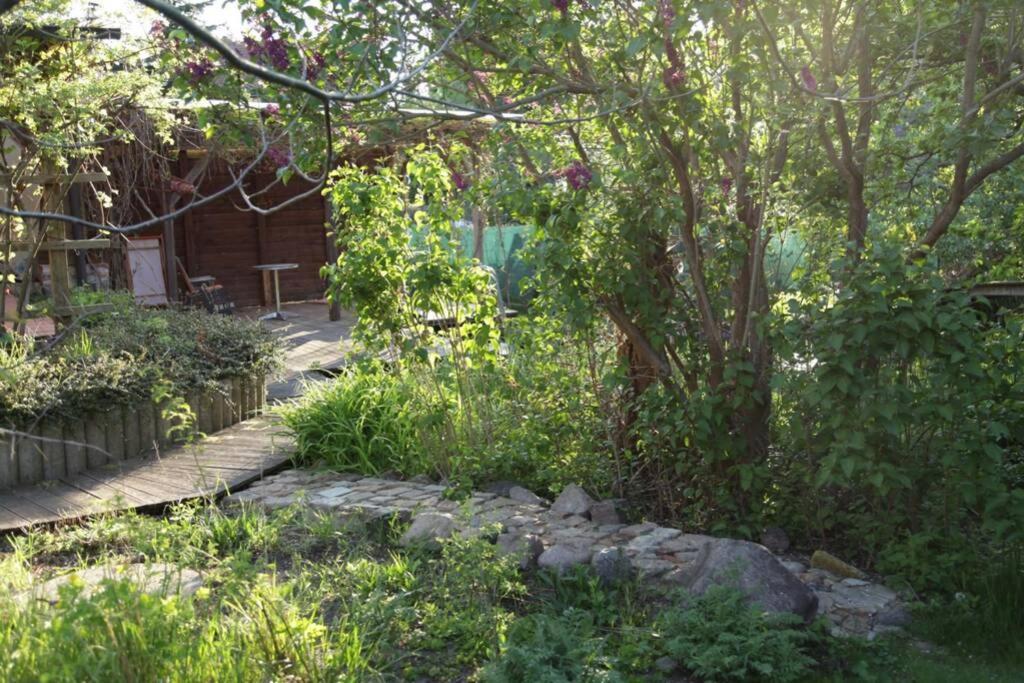Ferienwohnung In Peetzig Am See อังเงอร์มึนเดอ ภายนอก รูปภาพ
